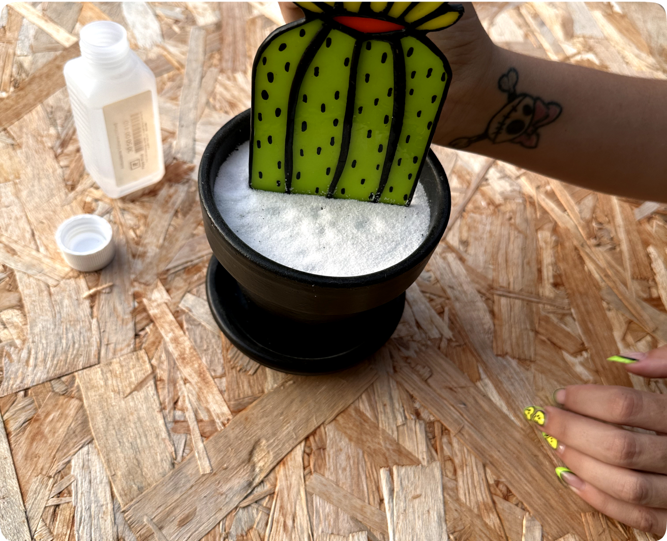 Cactus decorativo para maceta